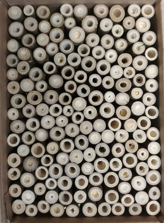 Bambus - gereinigt „kleiner Karton“