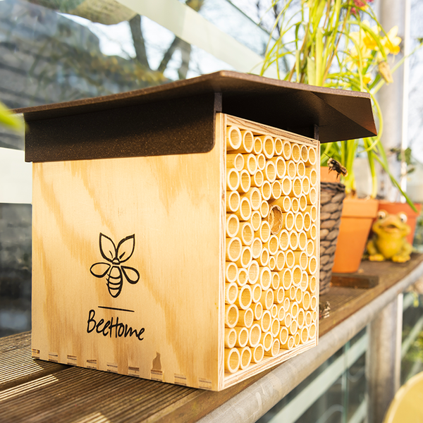 BeeHome Mauerbienen Hotel BeeHome dunkel inkl. 30 Mauerbienen