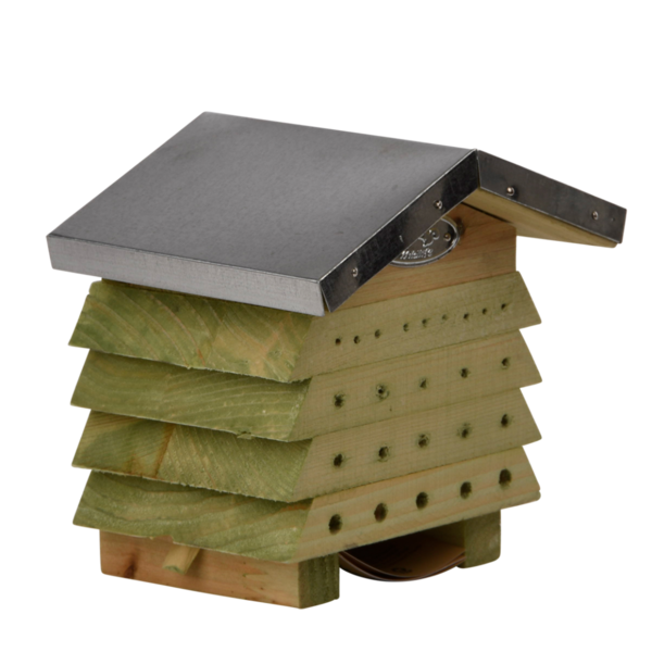 Bienenhaus Holz