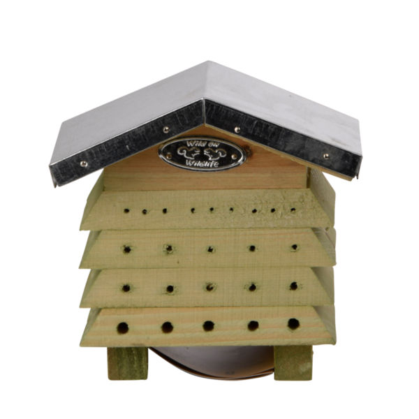 Bienenhaus Holz