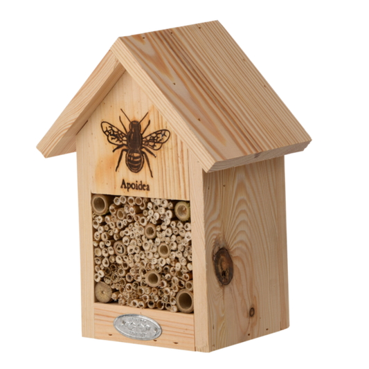 Bienenhaus mit Silhouette