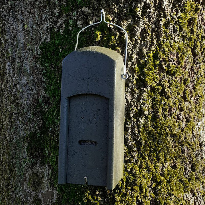 ERBECK - Fledermaus Fledermaus-Kuppelhöhle aus Holzbeton