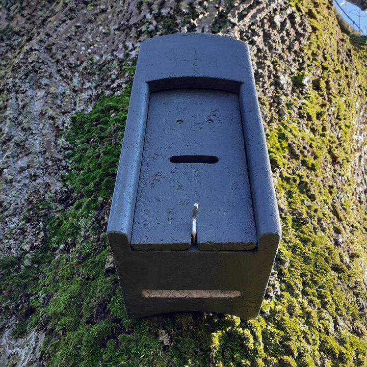 ERBECK - Fledermaus Fledermaus-Kuppelhöhle aus Holzbeton