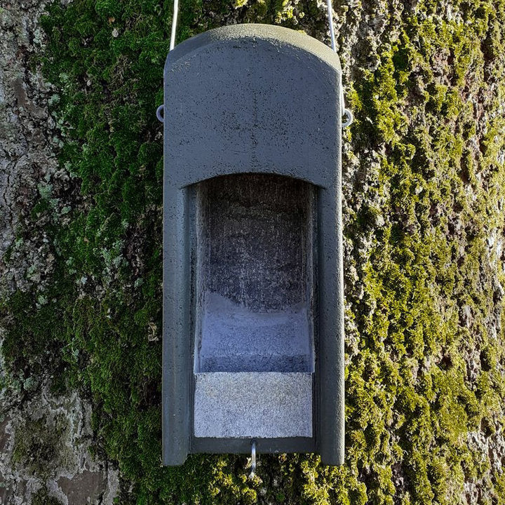 ERBECK - Fledermaus Fledermaus-Kuppelhöhle aus Holzbeton
