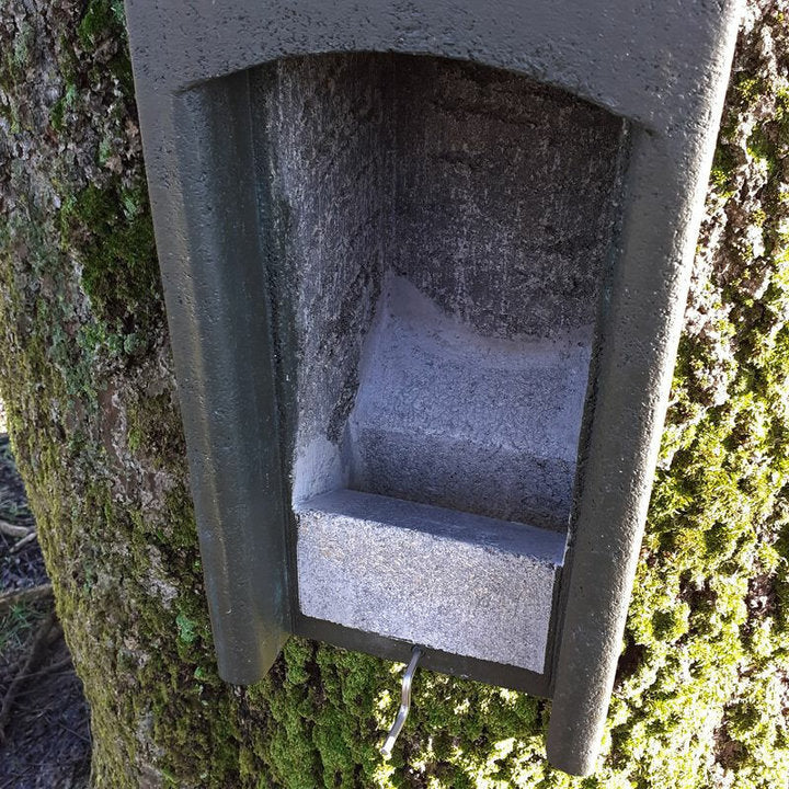 ERBECK - Fledermaus Fledermaus-Kuppelhöhle aus Holzbeton