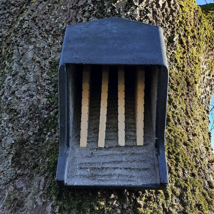 ERBECK - Fledermaus Großraumkasten für Kleinfledermäuse aus Holzbeton