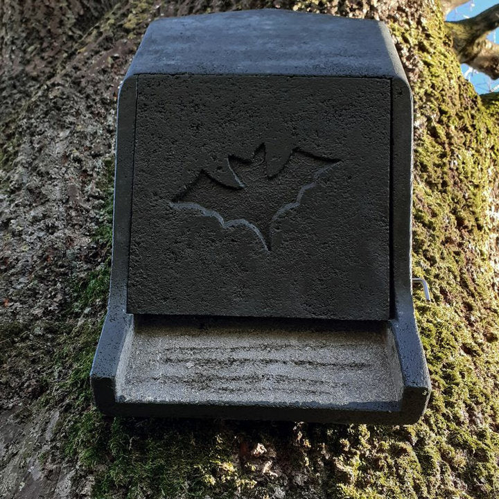 ERBECK - Fledermaus Großraumkasten für Kleinfledermäuse aus Holzbeton