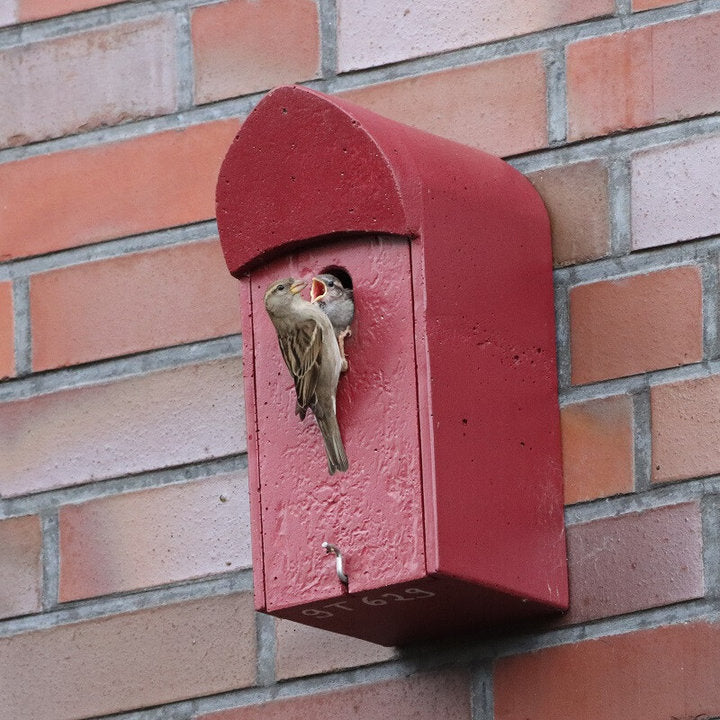ERBECK - Universal-Nistkasten mit ovalem Flugloch für Fassaden aus Holzbeton