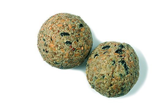 Erdtmann 4 Meisenknödel PLUS Protein (ohne Netz)