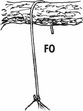Ersatzaufhängebügel für Nisthöhle 2M/FO