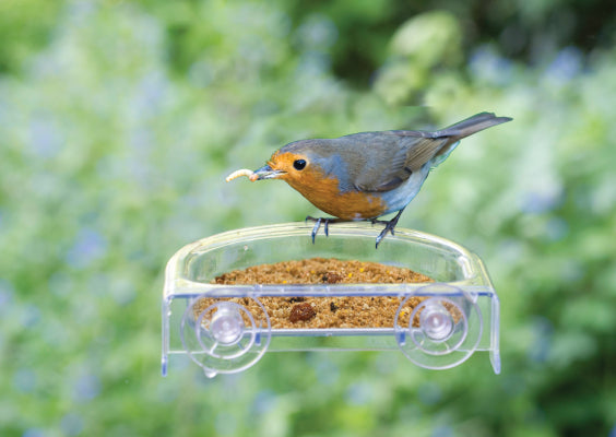 Fenster-Futterschale "I Love Robins"