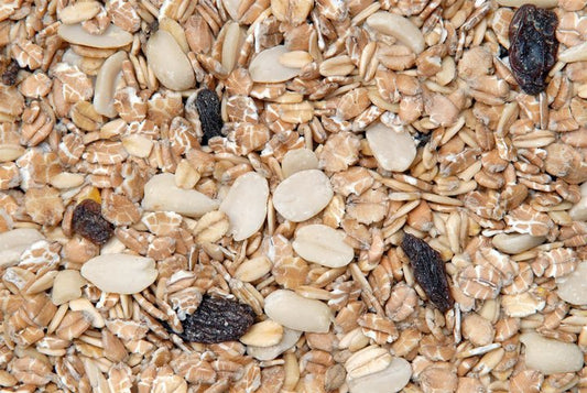 GEVO exquisit Fettfutter 25kg - Fettfutter im Papiersack kaufen!