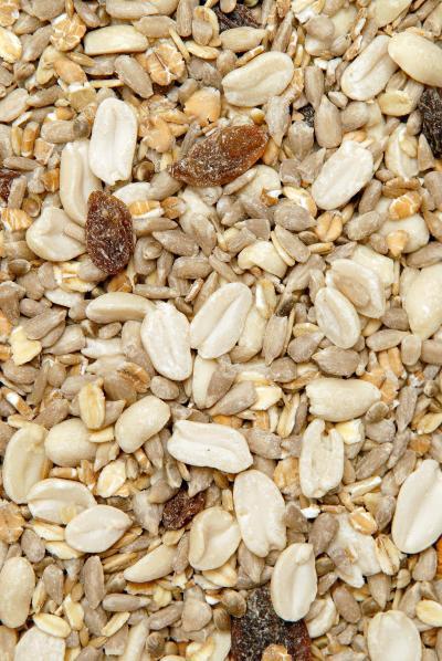 GEVO Gartenvogelfutter schalenlos mit Chiasamen 10kg