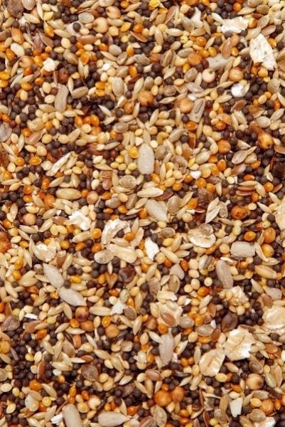 GEVO Wald- & Wildvogelfutter mit Chiasamen 10kg