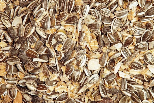 GEVO Wildvogel Futtermix 5kg EIMER - Wildvogelfutter