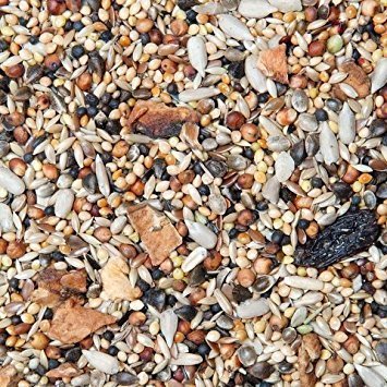 GEVO Wildvogelfutter mit Früchten und Chiasamen 10kg