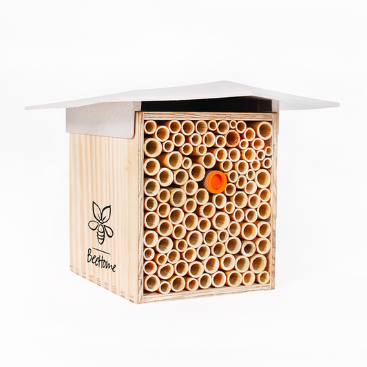 Mauerbienen Hotel BeeHome hell inkl. 30 Mauerbienen