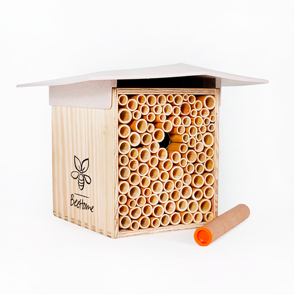 Mauerbienen Hotel BeeHome hell inkl. 30 Mauerbienen