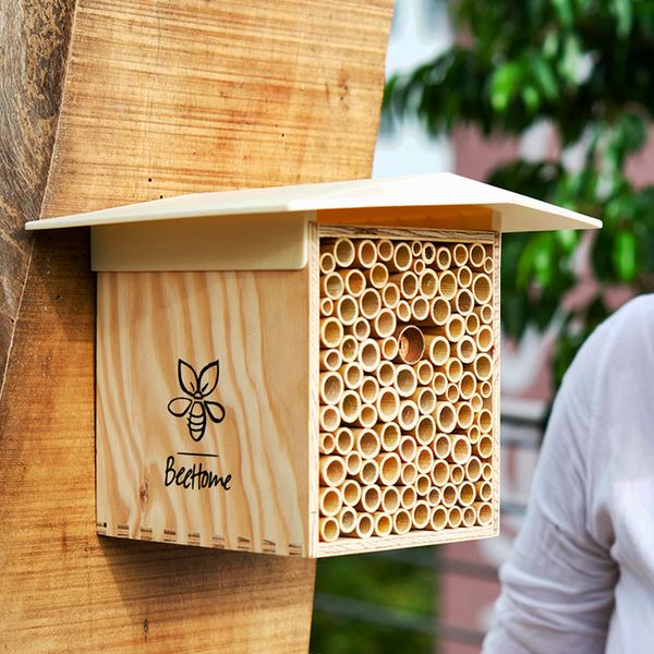 Mauerbienen Hotel BeeHome hell inkl. 30 Mauerbienen