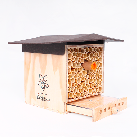 Mauerbienen Hotel Observer dunkel inkl. 30 Mauerbienen