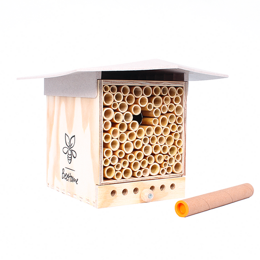 Mauerbienen Hotel Observer hell inkl. 30 Mauerbienen