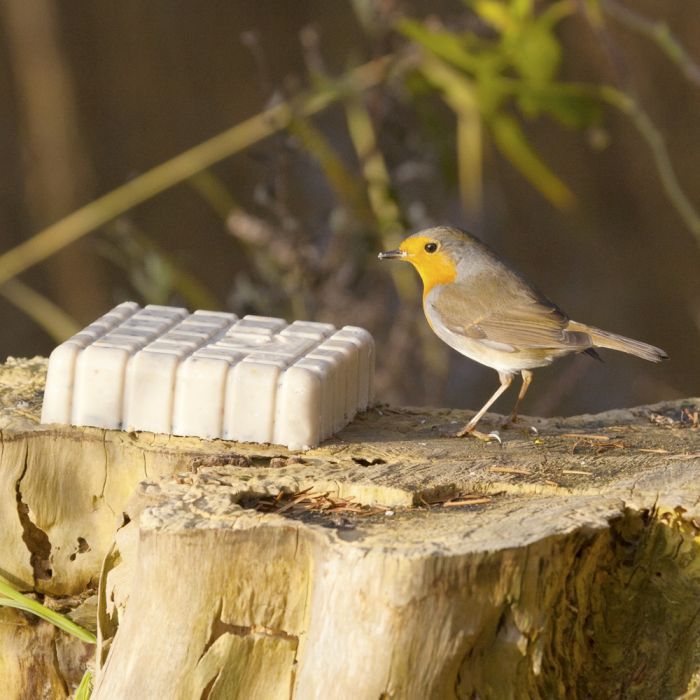NABU / LBV Energieblock mit Insekten 300g