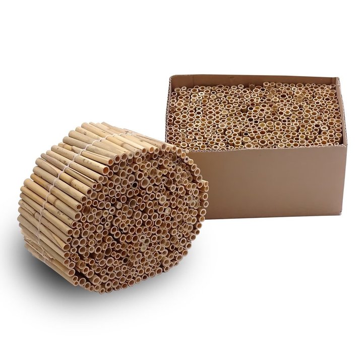 Schilf „kleiner Karton“