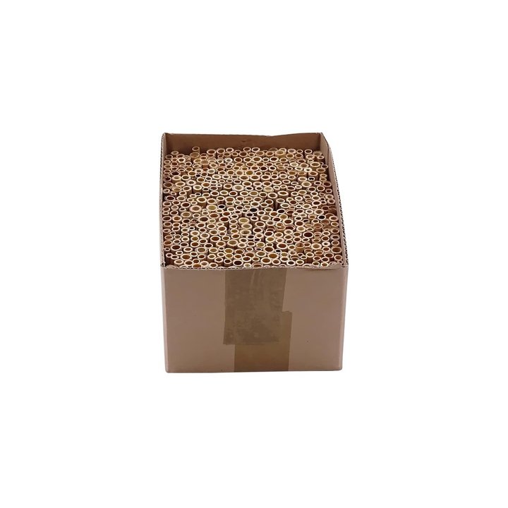Schilf „kleiner Karton“