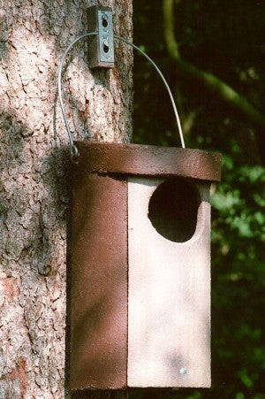 Schwegler Eulenhöhle Nr. 5