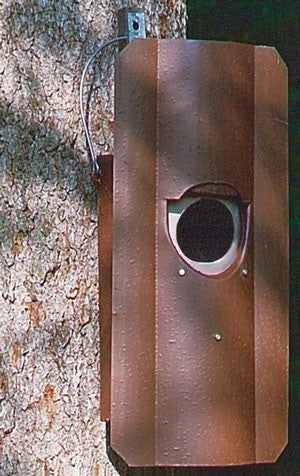 Schwegler Eulenhöhle Nr. 5 mit Marderschutz