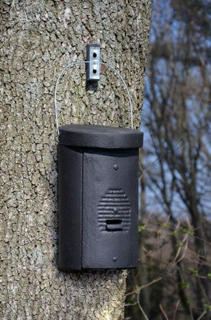 Schwegler Fledermaus-Großraumhöhle 2FS speziell für Kleinfledermäuse