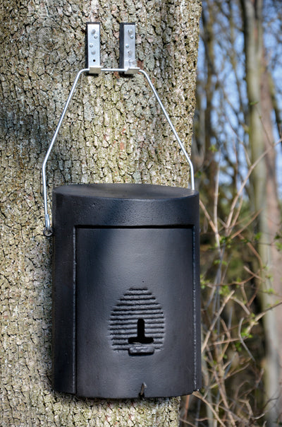 Schwegler Fledermaus Großraum- und Überwinterungshöhle 1FW