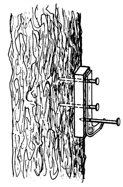 Schwegler Fledermaus Großraum- und Überwinterungshöhle 1FW