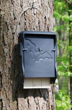 Schwegler Fledermausflachkasten 1FF // 00139