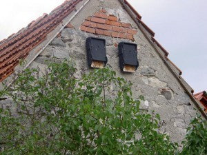 Schwegler Fledermausflachkasten 1FF // 00139