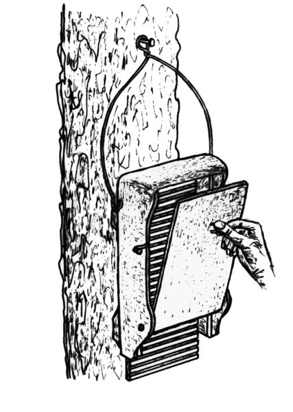 Schwegler Fledermausflachkasten 1FF // 00139