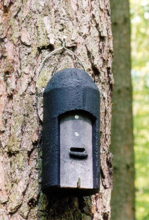 Schwegler Fledermaushöhle 1FD mit dreifacher Vorderwand speziell für Kleinfledermäuse