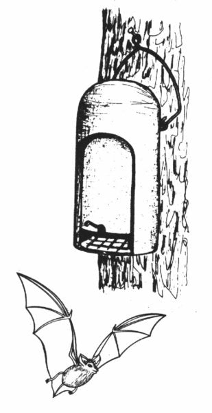 Schwegler Fledermaushöhle 2FN