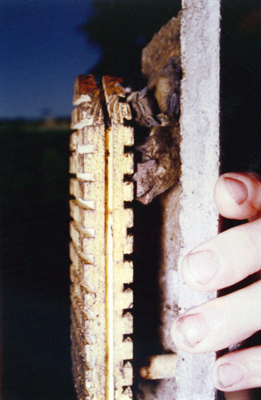 Schwegler Fledermaushöhle 2F mit doppelter Vorderwand