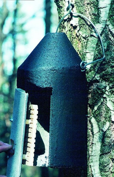 Schwegler Fledermaushöhle 2F mit doppelter Vorderwand