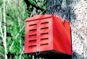 Schwegler Florfliegenquartier aus Holzbeton