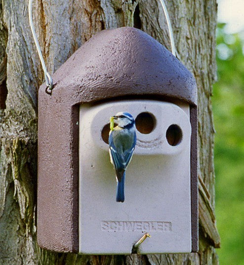 Schwegler Großraumnisthöhle 2GR (Dreiloch, 27mm) mit Räuberschutz