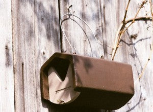 Schwegler Halbhöhle 2HW mit Elster- und Eichelhäherschutz