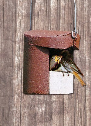Schwegler Halbhöhle 2H für Rotschwänzchen, Bachstelzen usw.