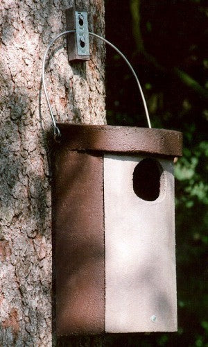 Schwegler Hohltaubenhöhle Nr. 4 / 80x90mm