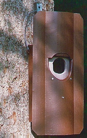 Schwegler Hohltaubenhöhle Nr. 4 mit Marderschutz