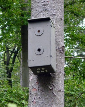 Schwegler Hornissenkasten aus Holzbeton