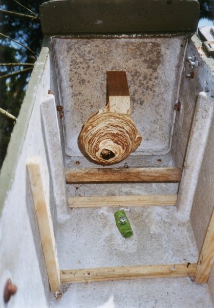 Schwegler Hornissenkasten aus Holzbeton