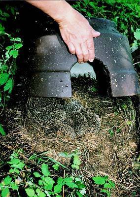 Schwegler Igelkuppel mit Isolierboden - hochwertige Igelhöhle
