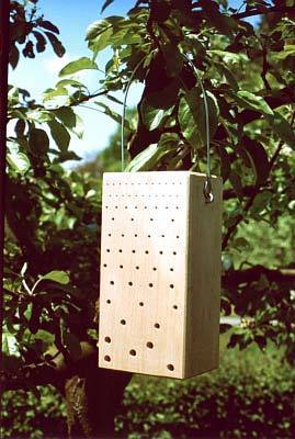 Schwegler Insektennistholz aus Hartholz 00370/6